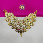 Velan-Covering-Impon-Dollar-3